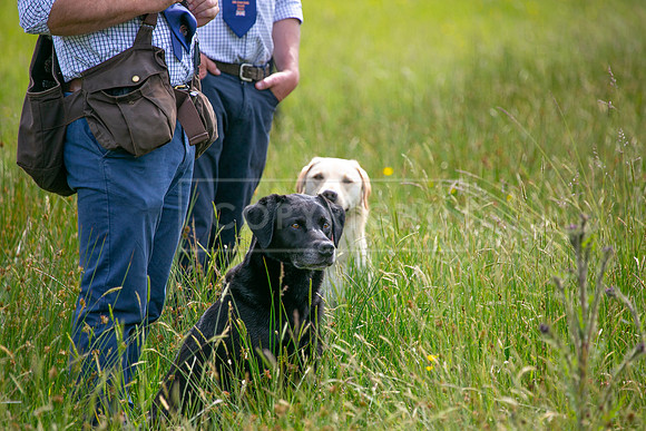 Int Retriever Day 1 -101
