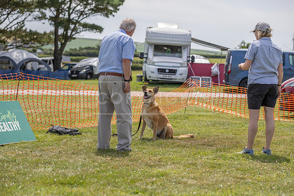 Scruffts heat @ Wadebridge 13th July 2025-149