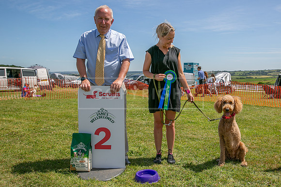 Scruffts heat @ Wadebridge 13th July 2025-94