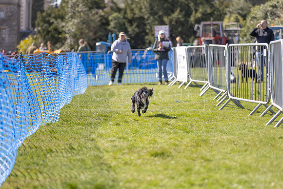 Thoresby Sun 30th Mar 25-237