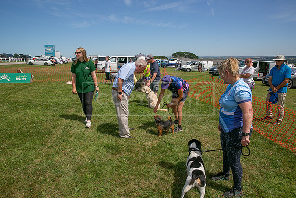 Scruffts heat @ Wadebridge 13th July 2025-117
