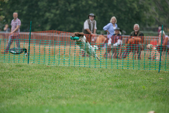 Jixenwell Scurry Challenge Final 2024-0297