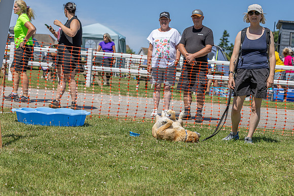 Scruffts heat @ Wadebridge 13th July 2025-28