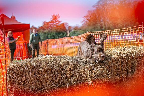 Thoresby Sun 30th Mar 25-218