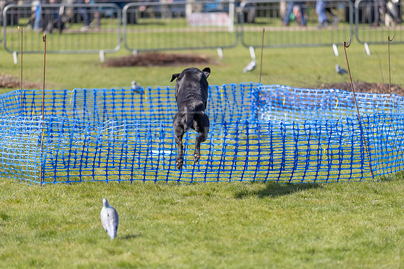 Thoresby Sun 30th Mar 25-190