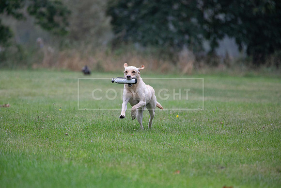 Jixenwell Scurry Challenge Final 2024-0180