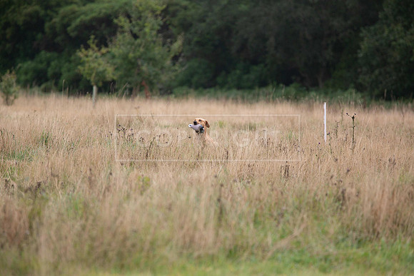 Jixenwell Scurry Challenge Final 2024-0460