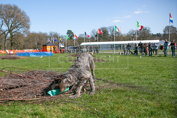 Thoresby Sun 30th Mar 25-252