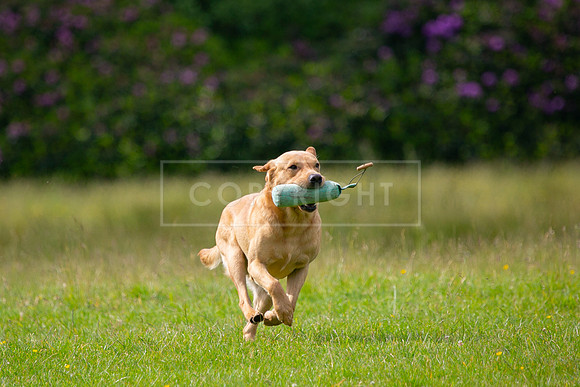 Int Retriever Day 1 -038