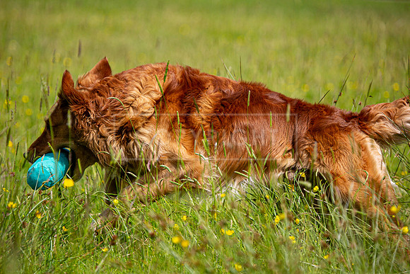 Int Retriever Day 1 -128