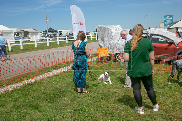 Scruffts heat @ Wadebridge 13th July 2025-135