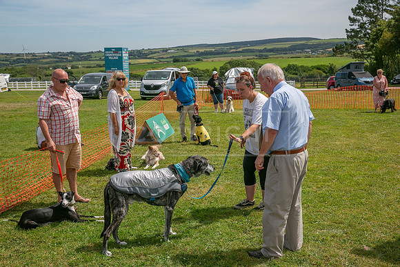 Scruffts heat @ Wadebridge 13th July 2025-136