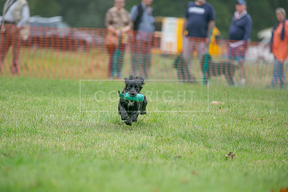Jixenwell Scurry Challenge Final 2024-0287