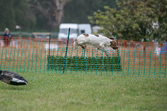 Jixenwell Scurry Challenge Final 2024-0348