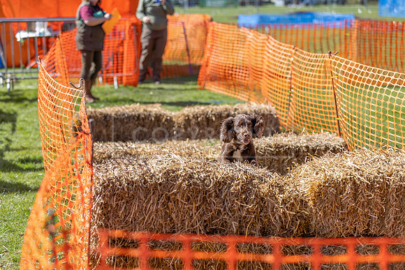 Thoresby Sun 30th Mar 25-216