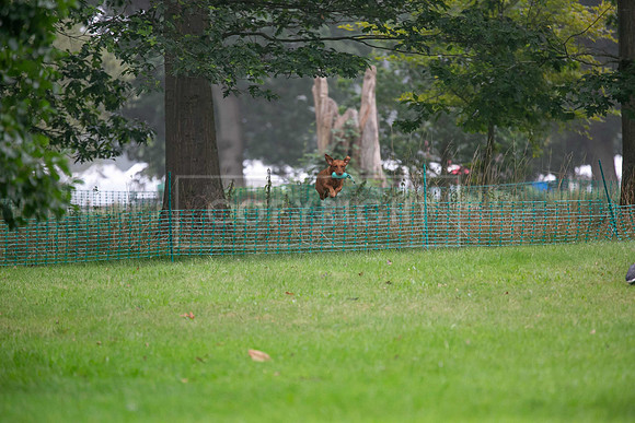 Jixenwell Scurry Challenge Final 2024-0153