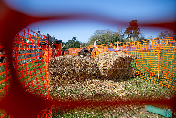 Thoresby Sun 30th Mar 25-110