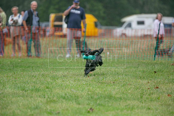 Jixenwell Scurry Challenge Final 2024-0268