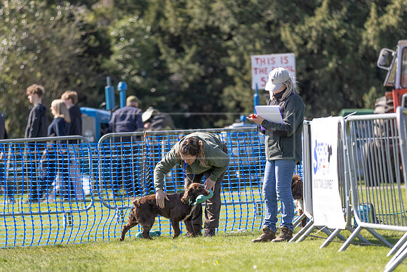 Thoresby Sun 30th Mar 25-229