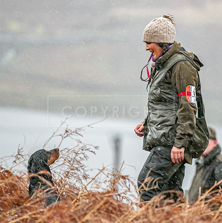 Gundogs-61