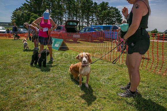 Scruffts heat @ Wadebridge 13th July 2025-13