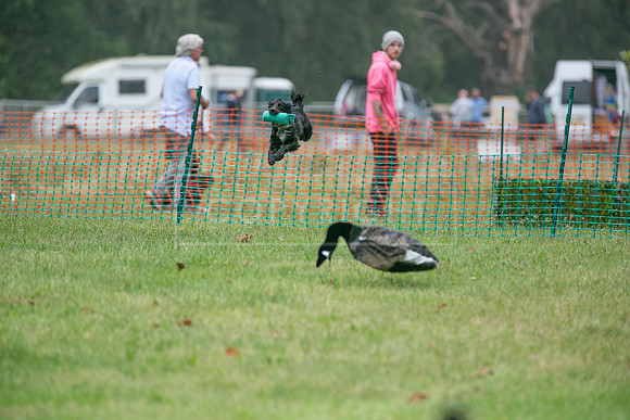 Jixenwell Scurry Challenge Final 2024-0267