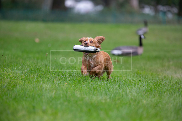 Jixenwell Scurry Challenge Final 2024-0368