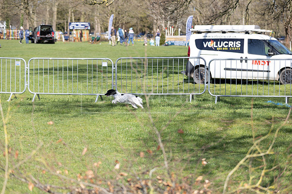 Thoresby Sun 30th Mar 25-112
