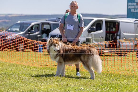 Scruffts heat @ Wadebridge 13th July 2025-4