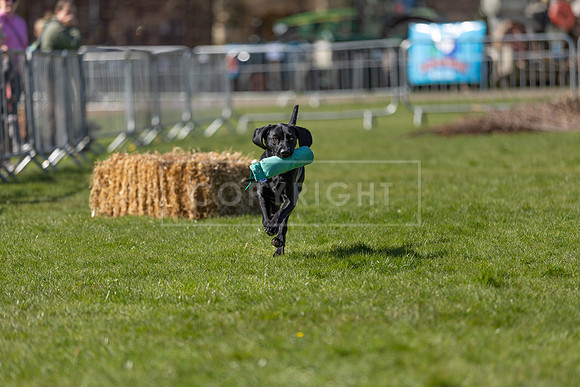 Thoresby Sun 30th Mar 25-142