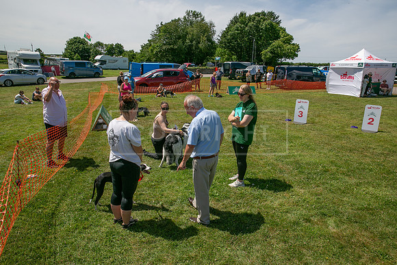 Scruffts heat @ Wadebridge 13th July 2025-81
