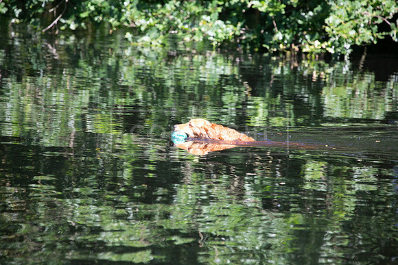 Int Retriever Day 1 -171