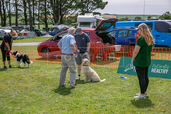 Scruffts heat @ Wadebridge 13th July 2025-152