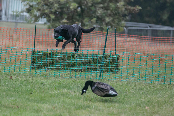 Jixenwell Scurry Challenge Final 2024-0056