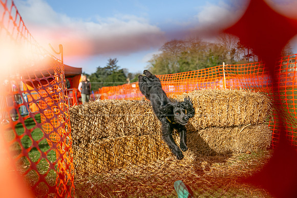 Thoresby Sun 30th Mar 25-003