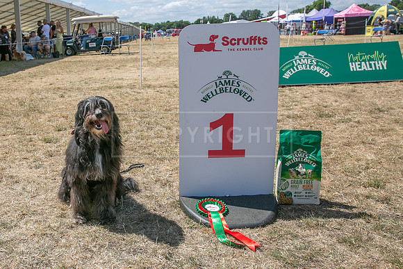Scruffts Heat @ Windsor 29th June 2025-124