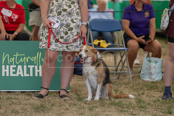 Scruffts Heat @ Windsor 29th June 2025-91