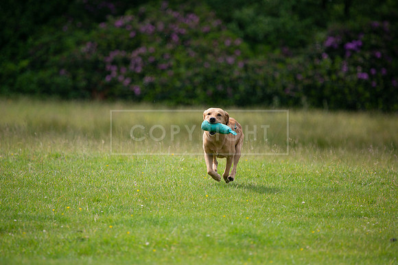 Int Retriever Day 1 -083