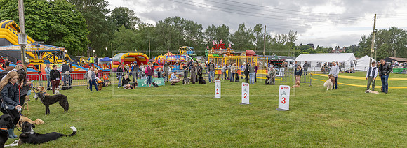 Scruffts Heat @ Shrewsbury 24th May 2025-24