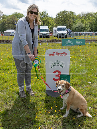 Scruffts @ Hylands Park 5th May 2024-087