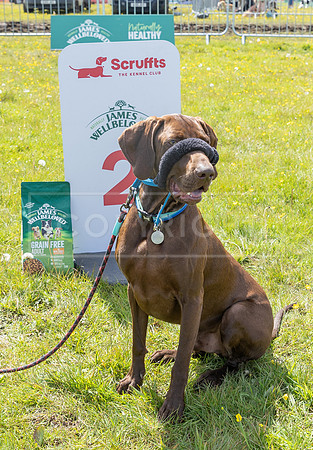 Scruffts @ Hylands Park 5th May 2024-033