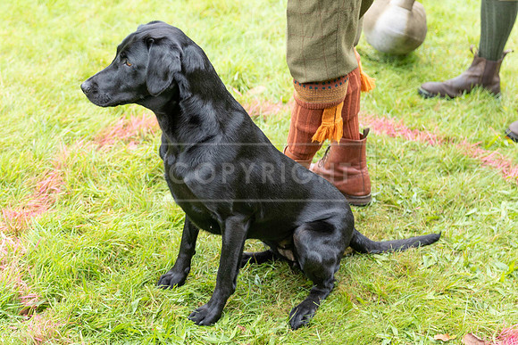 Jixenwell Scurry Challenge Final 2024-0158
