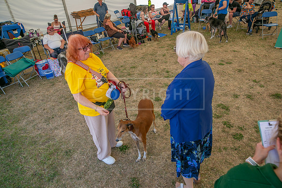Scruffts Heat @ Windsor 29th June 2025-106