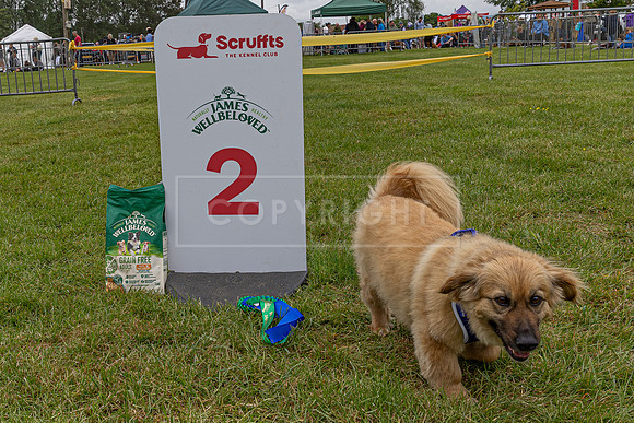 Scruffts Heat @ Shrewsbury 24th May 2025-36