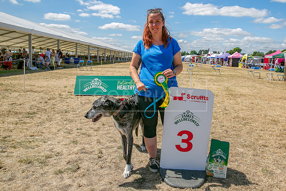 Scruffts Heat @ Windsor 29th June 2025-129