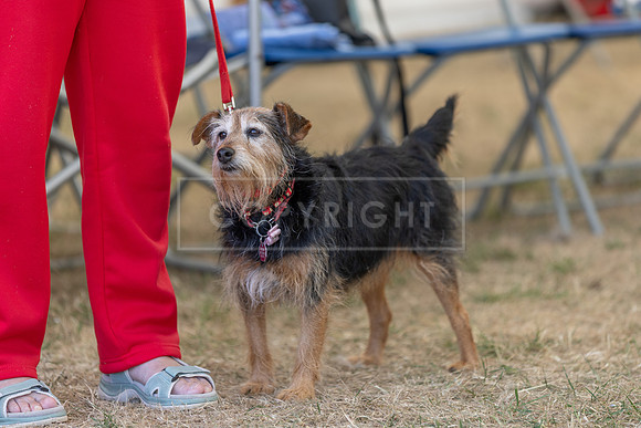 Scruffts Heat @ Windsor 29th June 2025-92