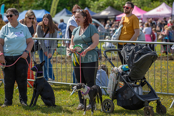 Scruffts @ Hylands Park 5th May 2024-058