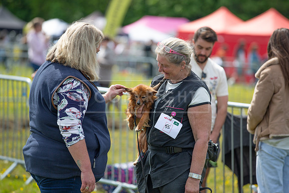 Scruffts @ Hylands Park 5th May 2024-075