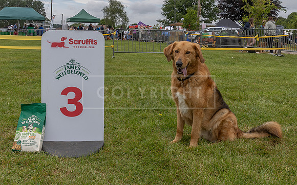 Scruffts Heat @ Shrewsbury 24th May 2025-39