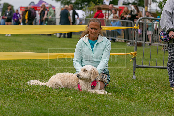 Scruffts Heat @ Shrewsbury 24th May 2025-51